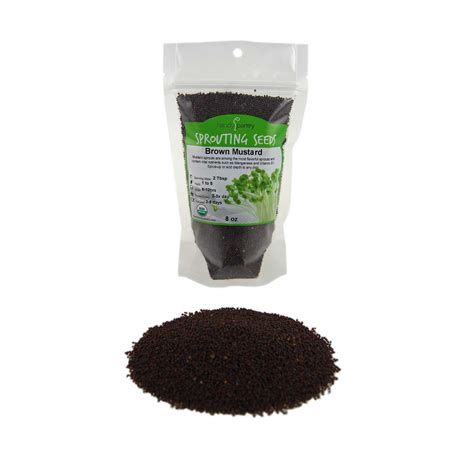 Organic Brown Mustard Sprouting Seeds 8 Oz Hot Mustard Seed For