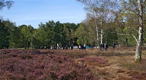 Le Parc Des Bruyères Conservatoire Despaces Naturels Des Hauts De France