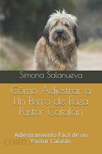 Cómo Adiestrar a Un Perro de Raza Pastor Catalán Adiestramiento Fácil