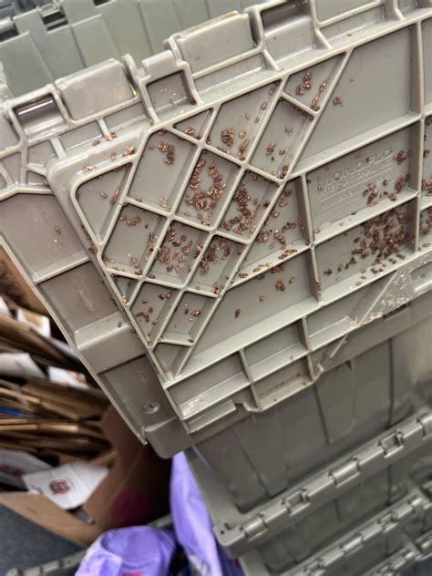 What The Actual Fuck R Cvs