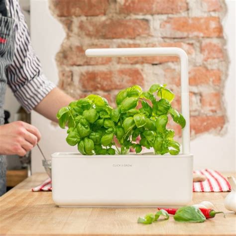 These Are The Indoor Smart Garden Ideas That You Need To Know About