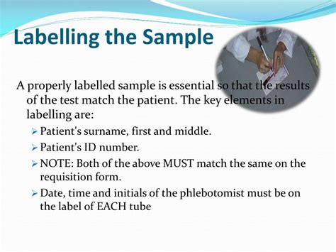 Ppt Laboratory Specimen Collection And Handling Powerpoint Presentation