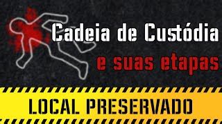 Voc Sabe O Que Cadeia De Cust Dia E Quais S O Suas E Doovi