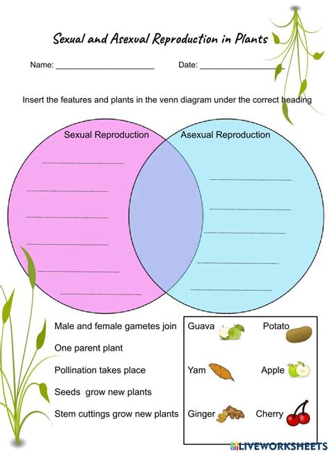 Free Sexual And Asexual Reproduction Worksheet Download Free Sexual And Asexual Reproduction