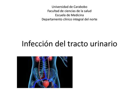 Solution Infecci N Del Tracto Urinario Studypool