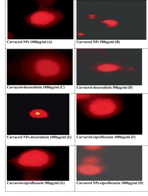 Figure 3 From Synergistic Antibacterial Activity Of Carvacrol Loaded