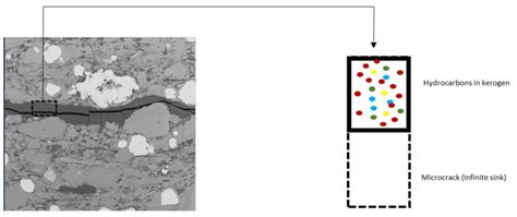 Conceptual Model To Study Multicomponent Hydrocarbons Transport In