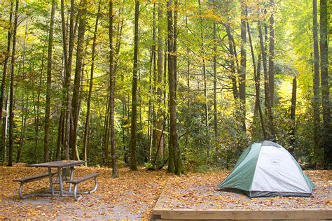 Things You Need to Know Before Camping in the Smokies | Travel For Wildlife