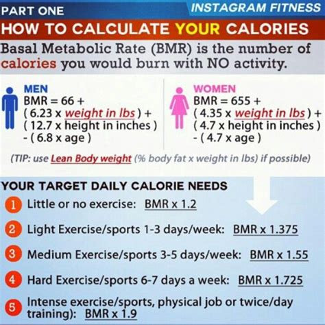 How To Calculate Your Bmr And Calorie Needs Haiper