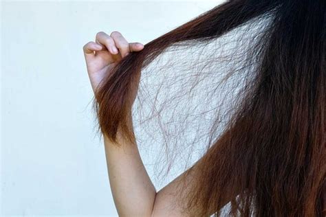 Можно ли утолщить и уплотнить повреждённые волосы Многие клиентки ...