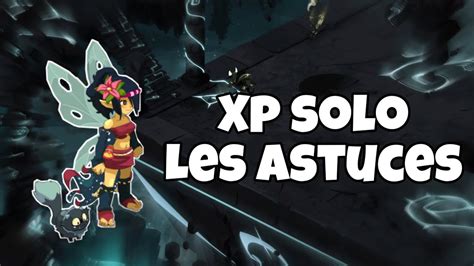 Comment Xp En Monocompte Astuces Xp Dofus Youtube