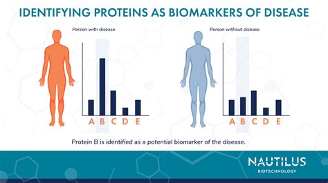 Applications Of Proteomics Biomarker Discovery Nautilus Biotechnology