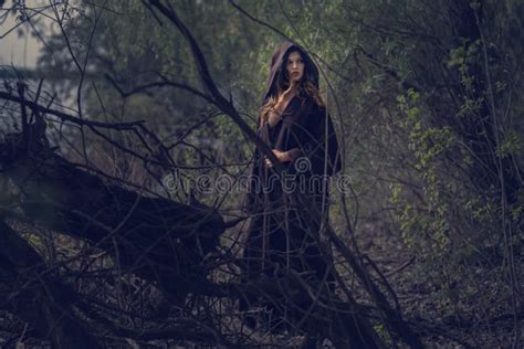 Sexy Junge Blonde Frau Im Wald Stockfoto Bild Von Gesund Eleganz