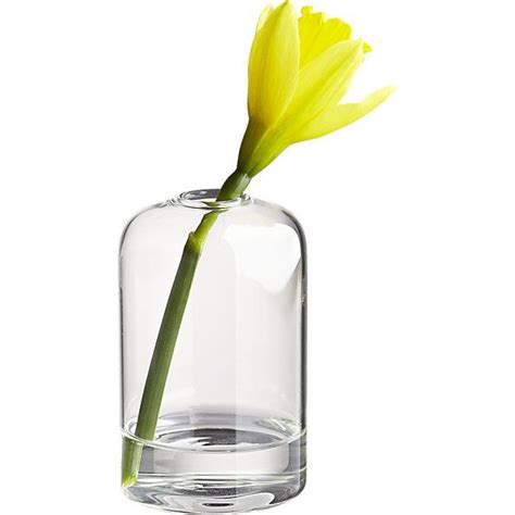 Cloche Modern Glass Bud Vase Reviews Cb2 Bud Vases Wooden Vase