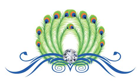 Peacock Logo Transparent