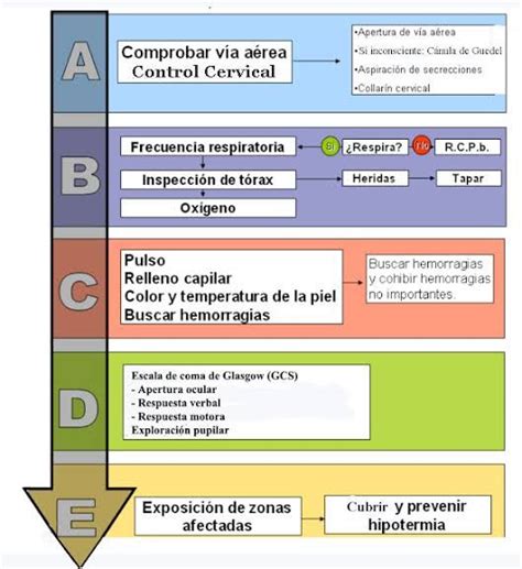 ABCDE de la medicina según ATLS Urgencias Medicine student Med