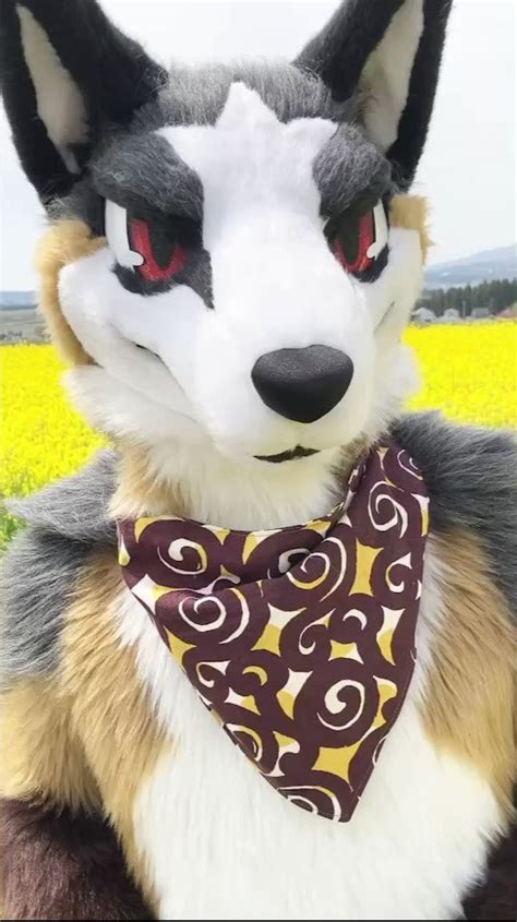 Kou On Twitter Rt Wadon Fursuiteveryday Nixxxra