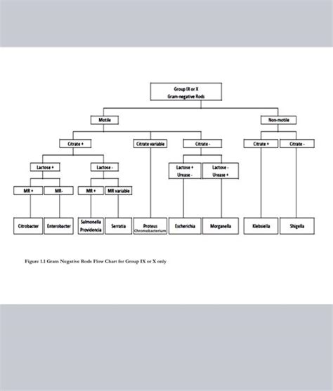 Solved Attachmentfigure 1 Gram Negative Flow Chartfigure