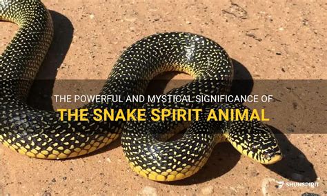 The Powerful And Mystical Significance Of The Snake Spirit Animal ...