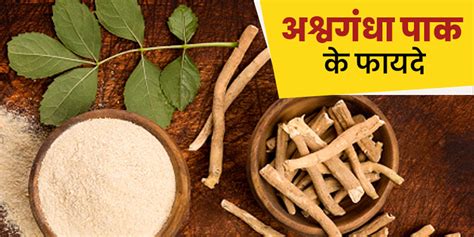 Ashwagandha Pak Health Benefits In Hindi अश्वगंधा पाक के सेवन से दूर