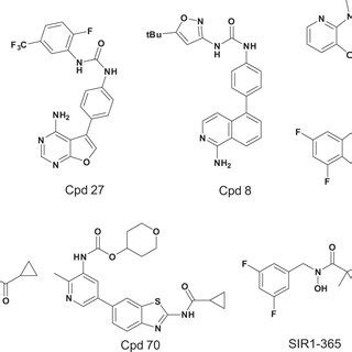 Chemical Structures Of Representative Ripk Inhibitors With Different