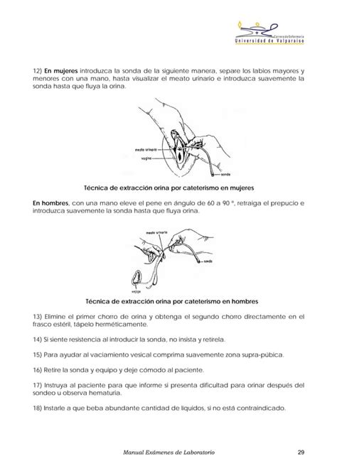 Manual De Tecnicas De Toma De Muestras Para Examenes De Laboratorio Pdf