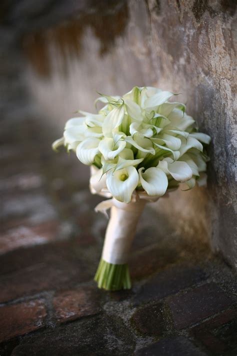 Bridal Bouquet White Calla Lilies Photo Jimkennedyphotographers