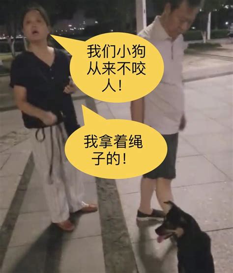 苏州夫妻遛狗不拴绳被质疑，大妈：我家狗从不咬人，只咬没素质的