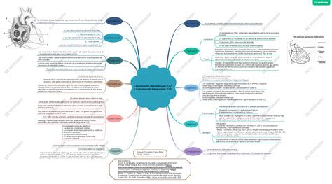 1 CIV y CIA 1 Un pequeño mapa mental sobre 2 de las muchas