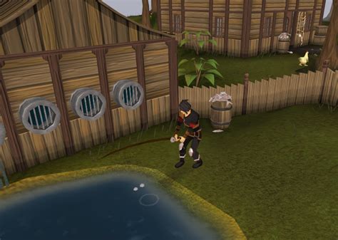 Fishing Contest | RuneScape Wiki | FANDOM powered by Wikia