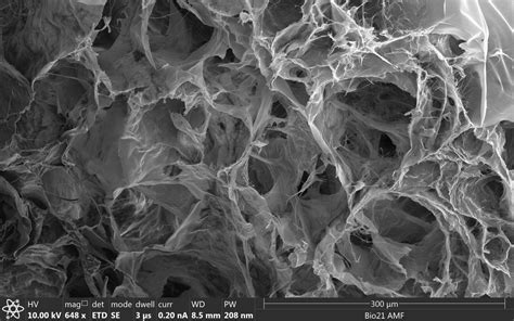 Porous Hydrogel Image Eurekalert Science News Releases