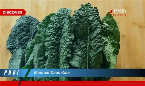 Ketahui 7 Manfaat Daun Kale Yang Jarang Diketahui