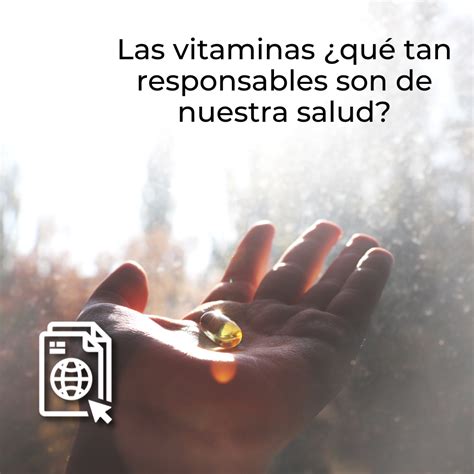 Las Vitaminas ¿qué Tan Responsables Son De Nuestra Salud Udgvirtual Formación Integral