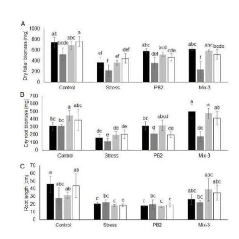 Impact Of Paenibacillus Sp Strain B2 In Single Inoculation And In A Download Scientific