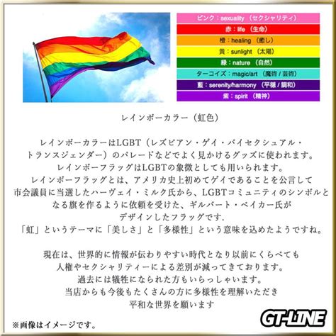 レインボー Tバック メンズ 虹色 RAINBOW LGBT Gストリング ブリーフ セクシー ローライズ D 下着 ビルパン もっこり プリケツ ゲイ GAY GMPD パレード