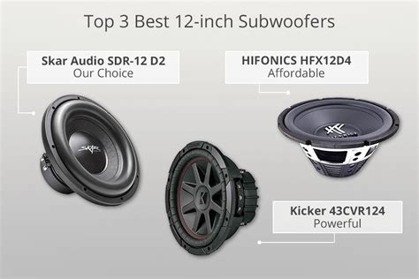 5 Best 12 Inch Subwoofers in 2025