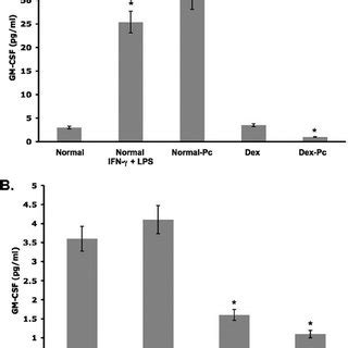 GM CSF protein in Amø during Pcp Soluble proteins from rat or mouse