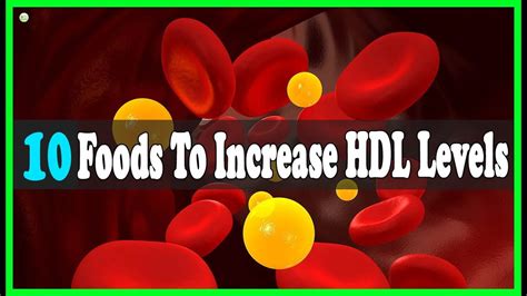 10 Foods To Increase Your Hdl Good Cholesterol Levels Best Home