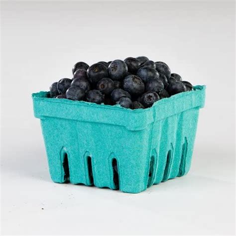 Amazon Pactiv 1 Quart Sized Garden Party Berigard Berry Basket