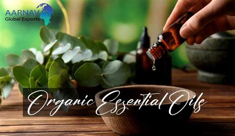 Unbelievable Uses And Benefits Of Natural Essential Oil To Promote Daily Life By Aarnav Global