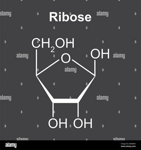 Chemical Structure of Ribose Sugar Molecule. Vector Illustration Stock ...