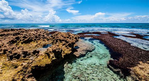 Aldabra Atoll - Africa Geographic