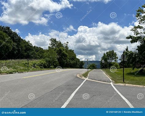 June nature images from PA stock photo. Image of summer - 250168120