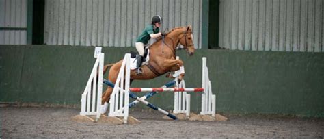 horse-jumping – The British Thoroughbred Retraining Centre (BTRC)