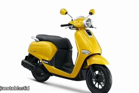 Terungkap Inilah Sosok New Honda Scoopy 125 2024 Vagansa