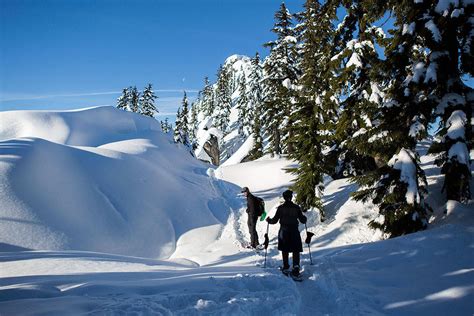 Avoiding Avalanches How To Know And Where To Go