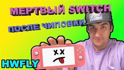 Switch Lite Hwfly Youtube