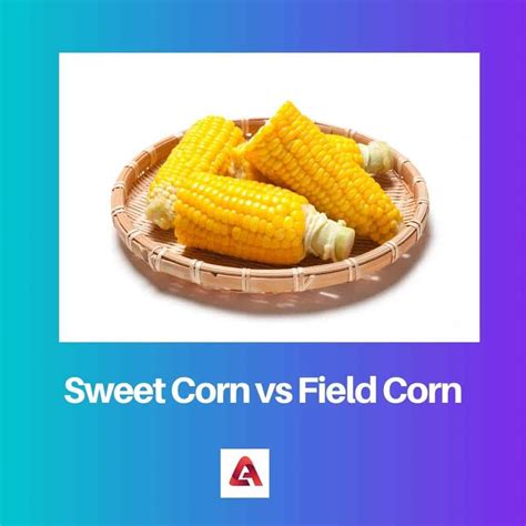 Sweet Corn vs Field Corn: Difference and Comparison