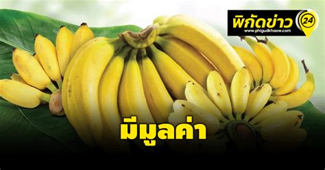 คนญี่ปุ่นสนใจผลิตภัณฑ์กล้วยไทยสร้างมูลค่าทางการค้าแล้วกว่า 1000 ล้าน