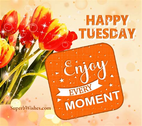 Happy Tuesday S Beautiful Tuesday S Superbwishes